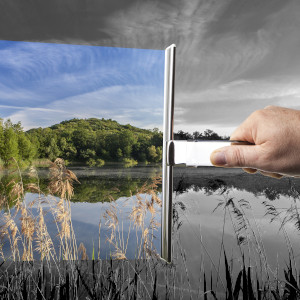 symbolisch für perfekte Sicht nach der Fensterreinigung