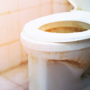 Verwahrlostes WC vor der Sonderreinigung Sanitär